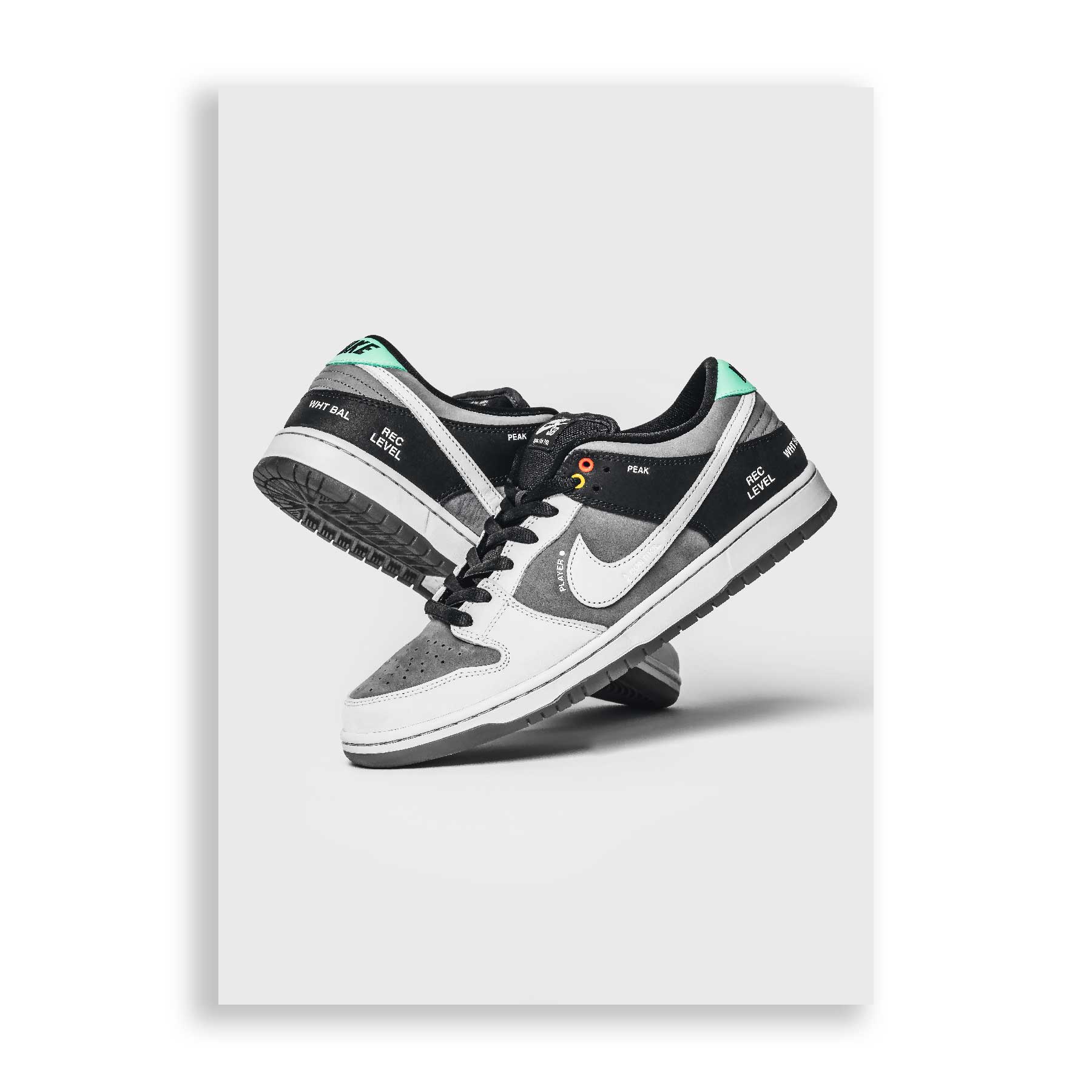 SnkrsPrints | Nike SB Dunk Low VX1000 Sneaker Poster